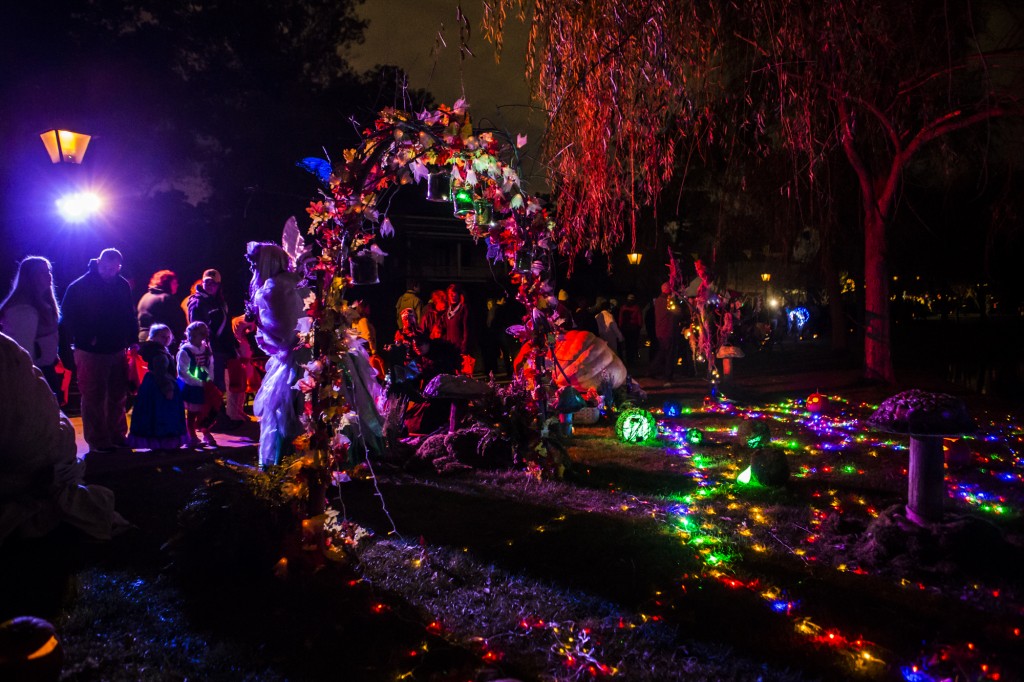 0126_049520141012_KMSPhotography