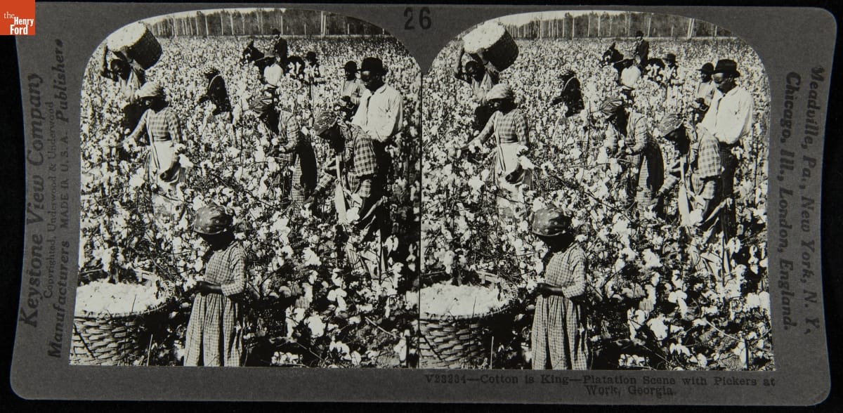 Cotton is King, Plantation Scene with Pickers at Work, Georgia Double photograph of African American people picking cotton in a field as a white overseer on a horse looks on