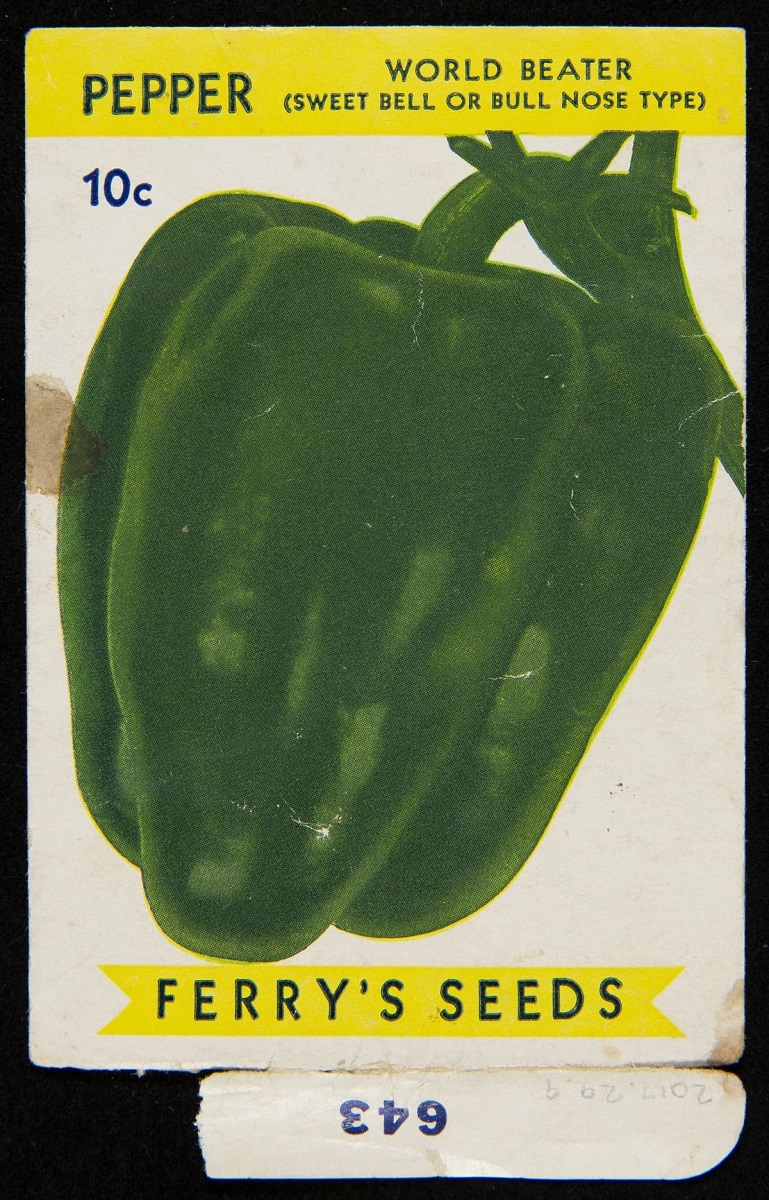 Ferry-Morse Seed Company, "Pepper" Seed Packet, circa 1951 Seed packet with yellow bands with text at top and bottom and large image of green bell pepper