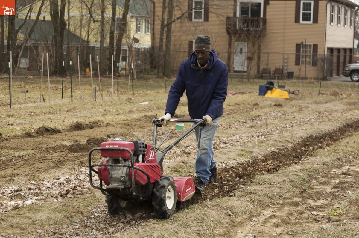 Melvin Parson Gardening during the Entrepreneurship Interview A Black man walks in a field guiding a tiller, with houses and fencing in the background