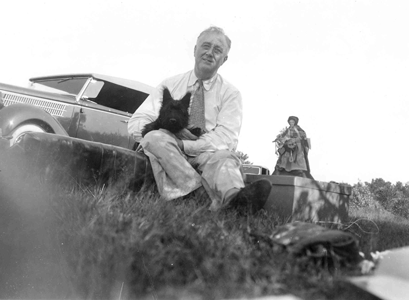 President Franklin Delano Roosevelt with Fala, 1940 Black-and-white image of man sitting on something in a grassy field, holding a Scottie dog, with a car and another person behind him