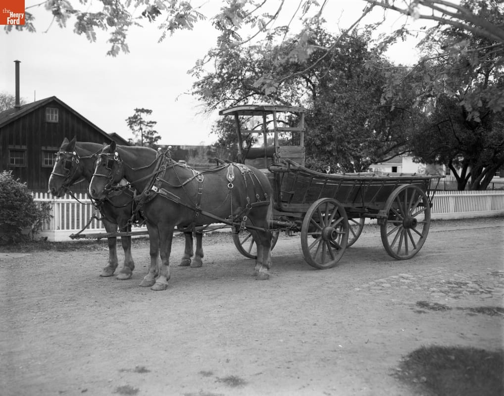 Hay Wagon, circa 1890 Large open wagon harnessed to two horses in front of a white picket fence and buildings