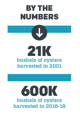 Oyster harvest statistics Infographic with text and numbers
