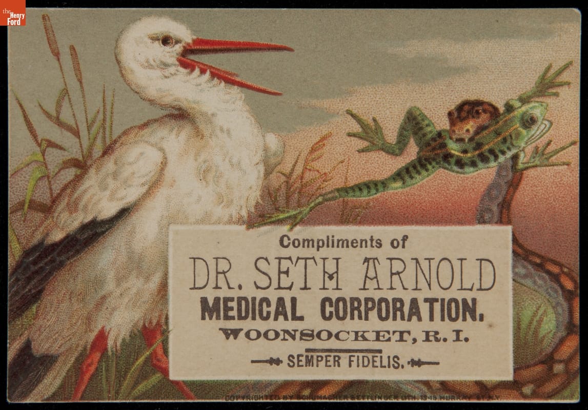 Trade Card for Dr. Seth Arnold's Cough Killer, 1880-1890 White bird with open long orange beak near snake with leaping frog in its mouth; also contains text