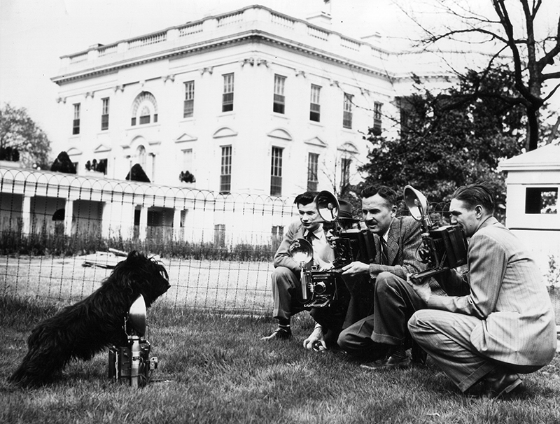 Fala “Photographing” White House Photographers, 1942 Black-and-white photo of Scottie dog with front paws on camera, facing several kneeling men with cameras, in front of a large imposing building
