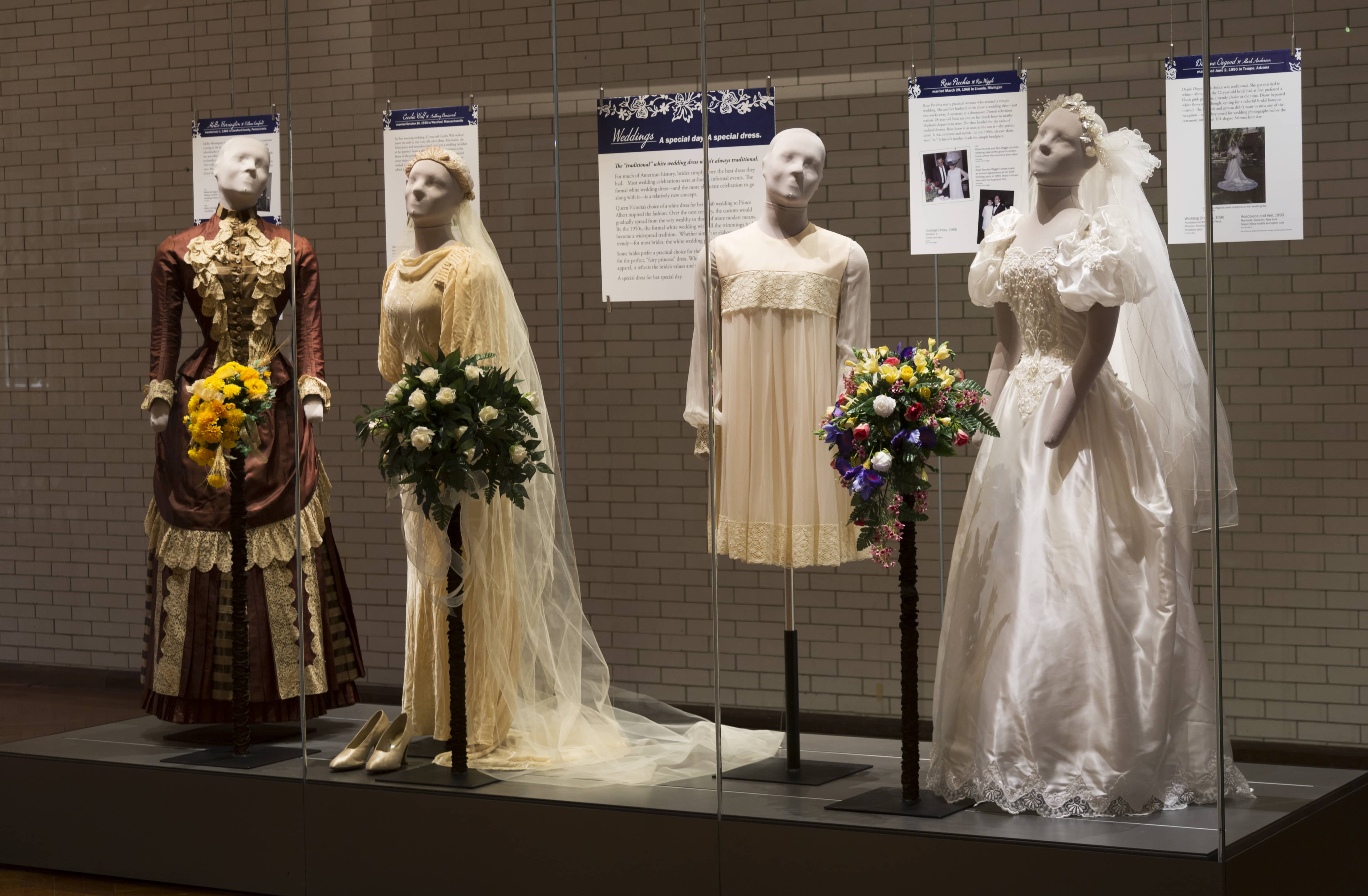 8U4A6781-1 8U4A6781-1