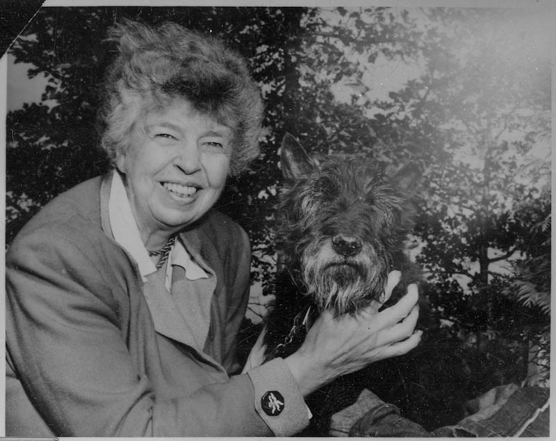 Eleanor Roosevelt with Fala, 1951 Black-and-white photo of woman sitting next to Scottie dog