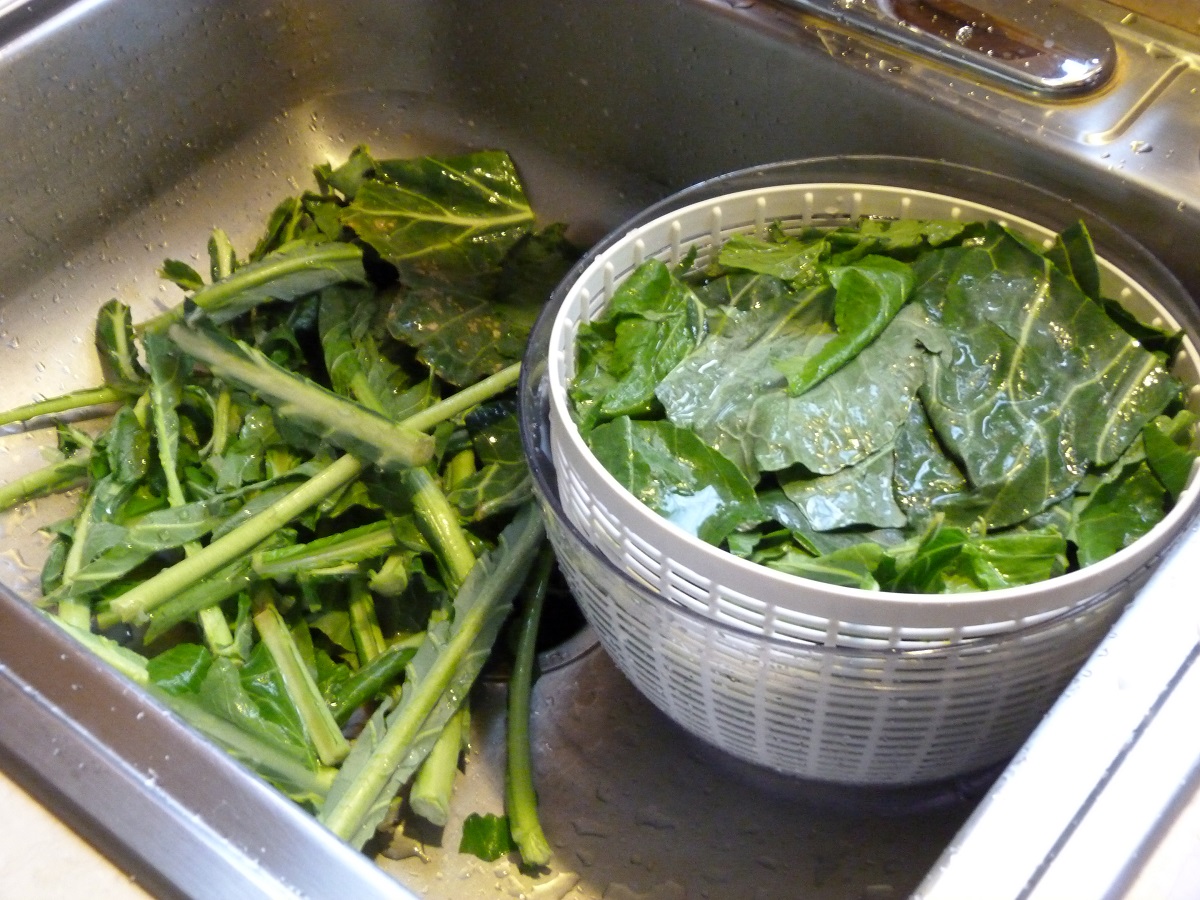 Collard greens Collard green spines laying in sink, with leaves in a salad spinner next to them