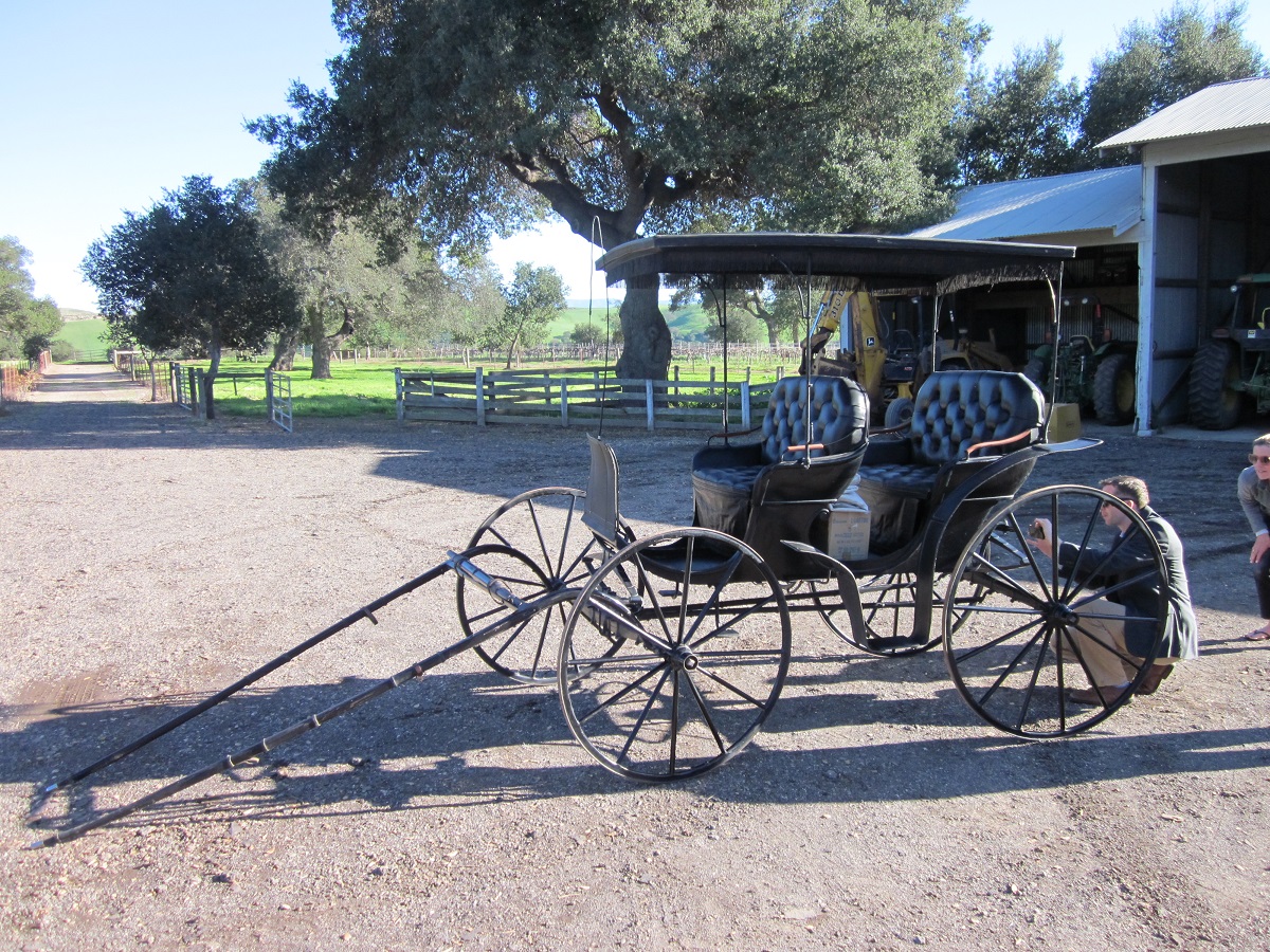 Columbus Buggy Company Model 300½ surrey Open-sided carriage in gravel yard with greenspace, trees, and garage visible in background