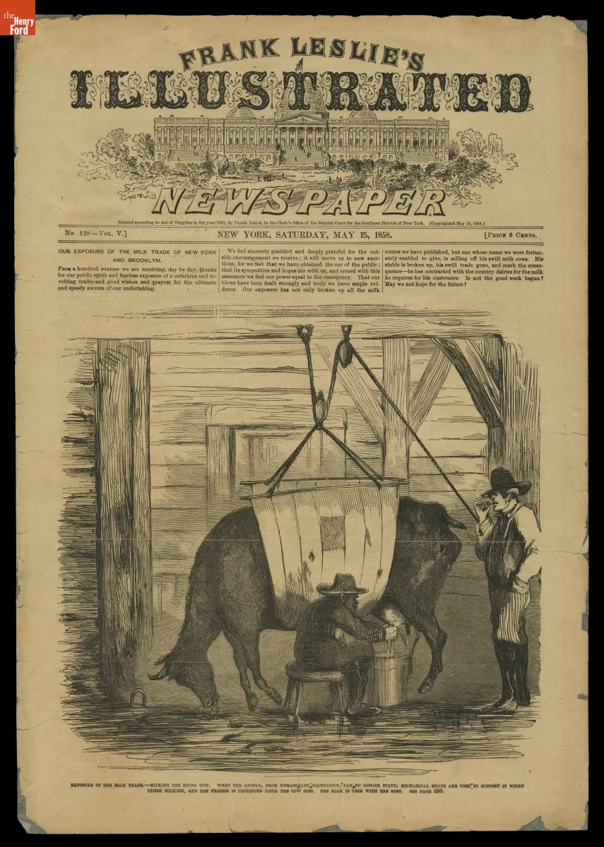 "Milking the Dry Cow" from Frank Leslie's Illustrated Newspaper, May 15, 1858