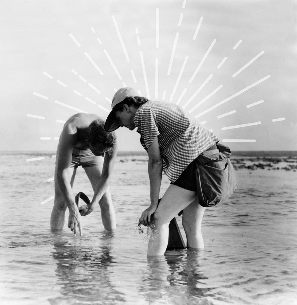 Rachel Carson and wildlife artist Bob Hines conduct research off the Atlantic coast in the early 1950s Woman and man stand calf-deep in water, peering down, with beach/rocks visible behind them