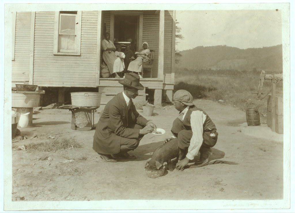 Austin Curtis, Sr., agricultural expert, instructs George Cox, a 13-year-old 4-H club member and son of a “renter” or tenant farmer, in pork nutrition near the West Virginia Collegiate Institute Man in suit and hat kneels near youth and pig eating from dish in a dirt yard; women watch from a porch behind them