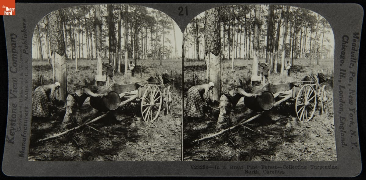 In a Great Pine Forest, Collecting Turpentine, North Carolina Duplicate arched photographs in a frame with text, depicting people working at trees in a wooded area, one rolling a barrel into a wagon