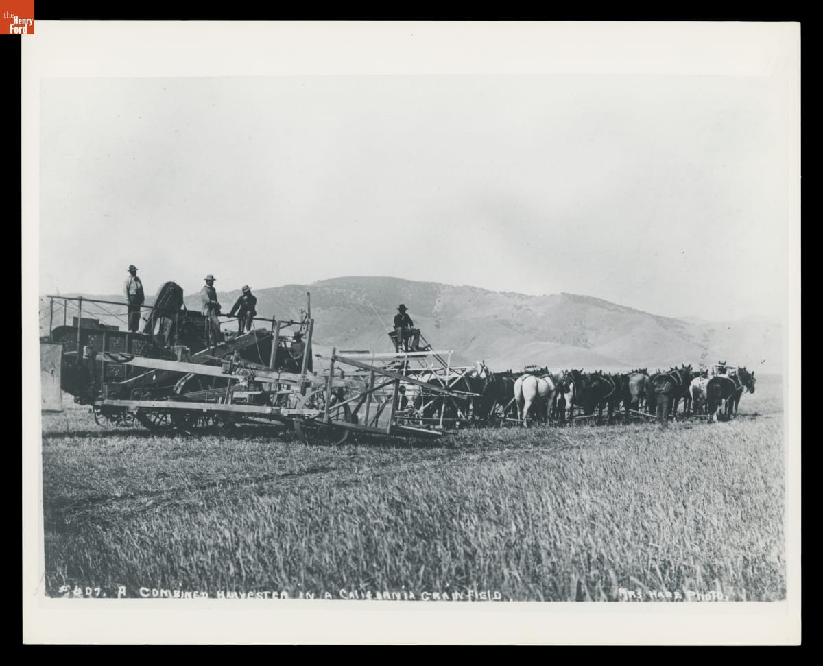 thf702847 A Combined Harvester in a California Grain Field