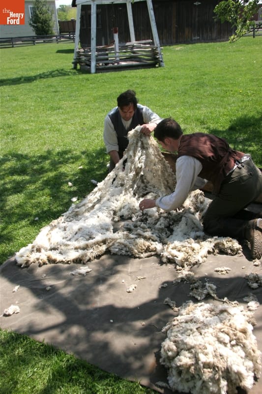 Two men kneel on a cloth on a grassy lawn holding a sheet of sheeps' wool, with another pile of wool nearby