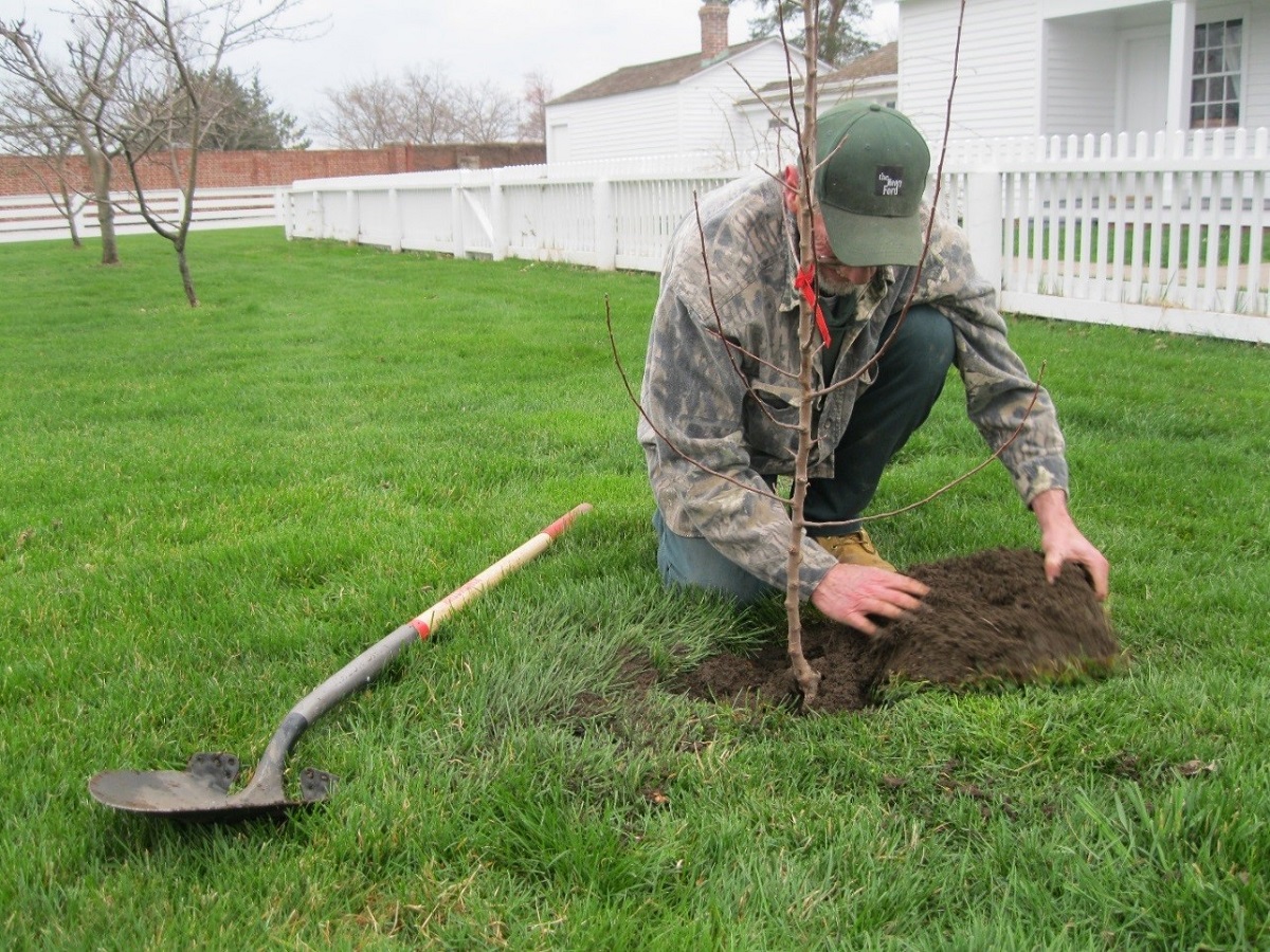 Man wearing camouflage jacket and green baseball cap kneels by a sapling with shovel on green lawn nearby; white picket fence and building in background