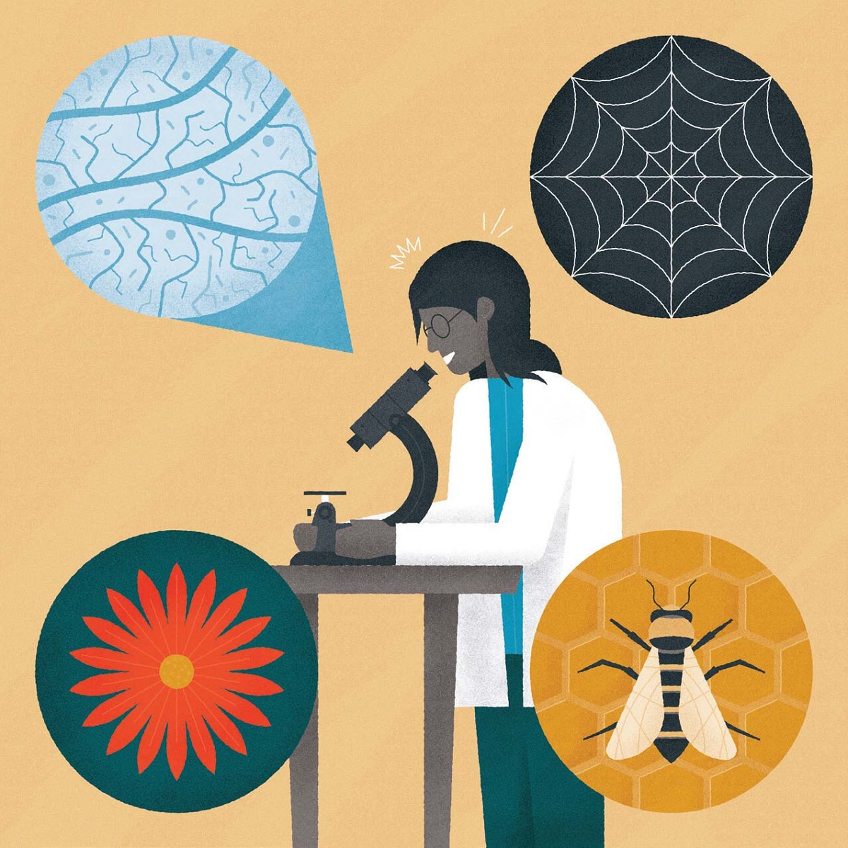 Multiple natural inspirations have helped create more sustainable food systems Illustration of person in labcoat working at microscope with insets showing a spiderweb, a flower, a bee, and a plant or animal microscopic detail