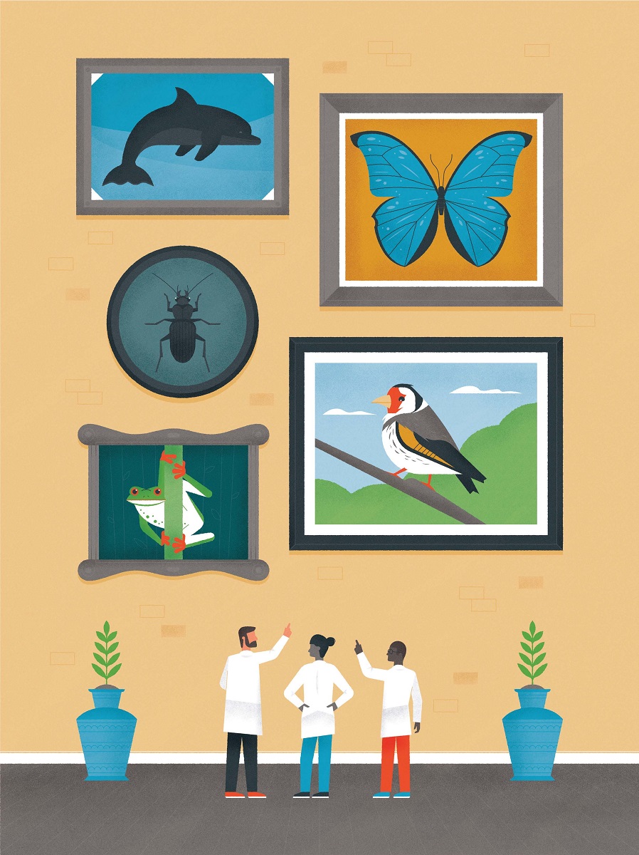 Biomimicry is innovation inspired by nature Illustration of three people in labcoats looking at a wall with framed images of animals