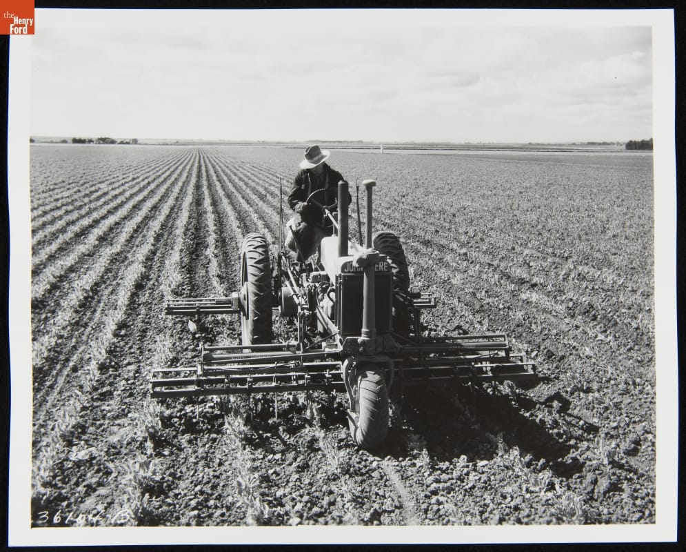 Man Using a 1935-1938 John Deere Model "B" Series Tractor Black-and-white photo of man riding tractor through very large field filled with small plants