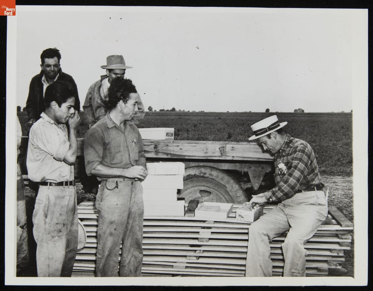 Mexican Farm Laborers Preparing to Resume Tomato Harvest, August 1945 Man sits on a stack of wood or doors with a field behind him, looking in a box; four other men look on