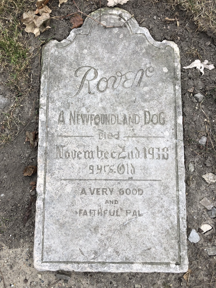 Gravestone, lying flat on ground, containing text "Rover, a Newfoundland Dog, Died November 2nd, 1938, 9 Yrs. Old, A Very Good and Faithful Pal"