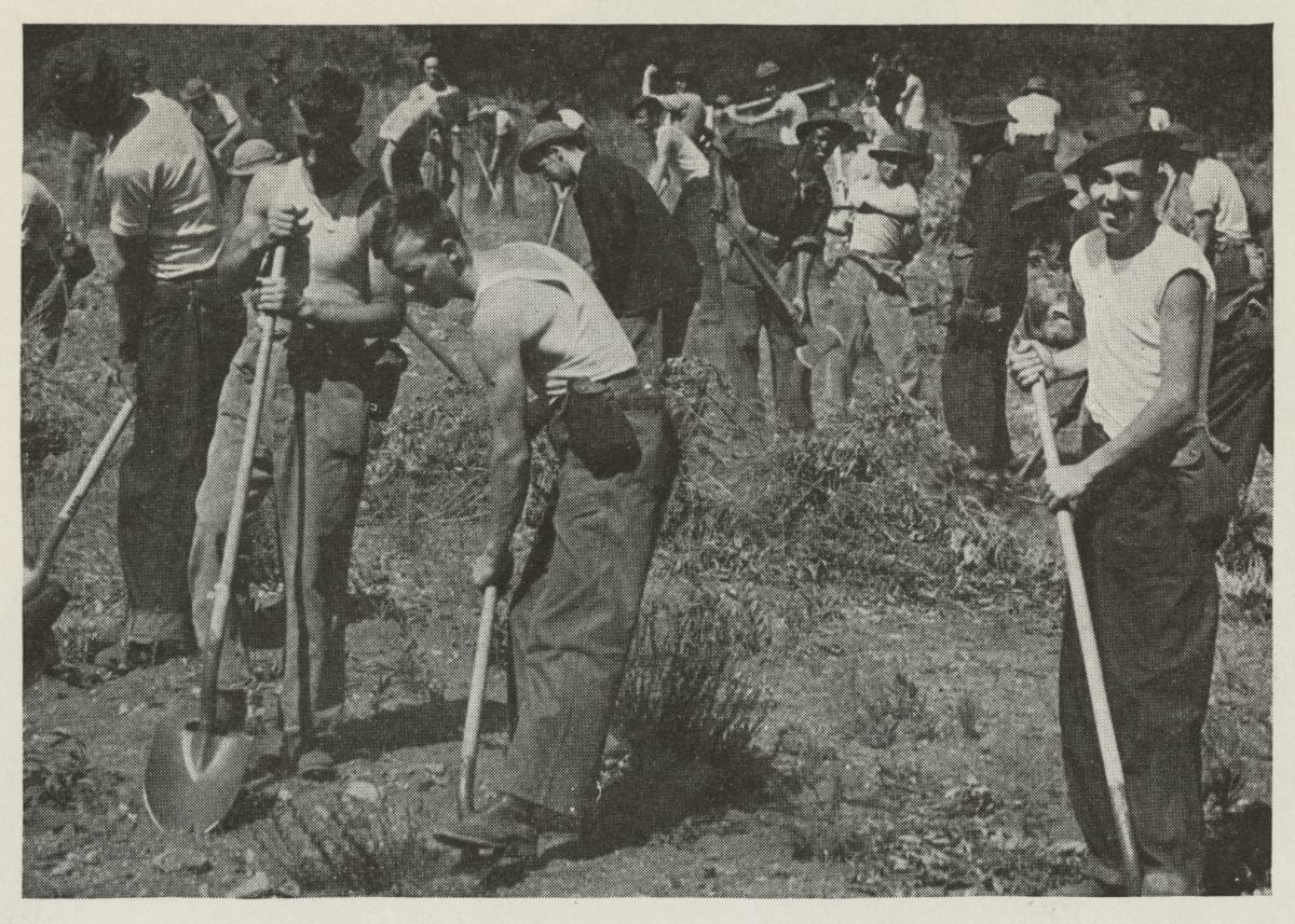 Franklin D. Roosevelt Campaign Booklet, "This Generation Has a Rendezvous with Destiny," 1936 / page 12, detail Black-and-white photo of men with shovels dig in a clearing